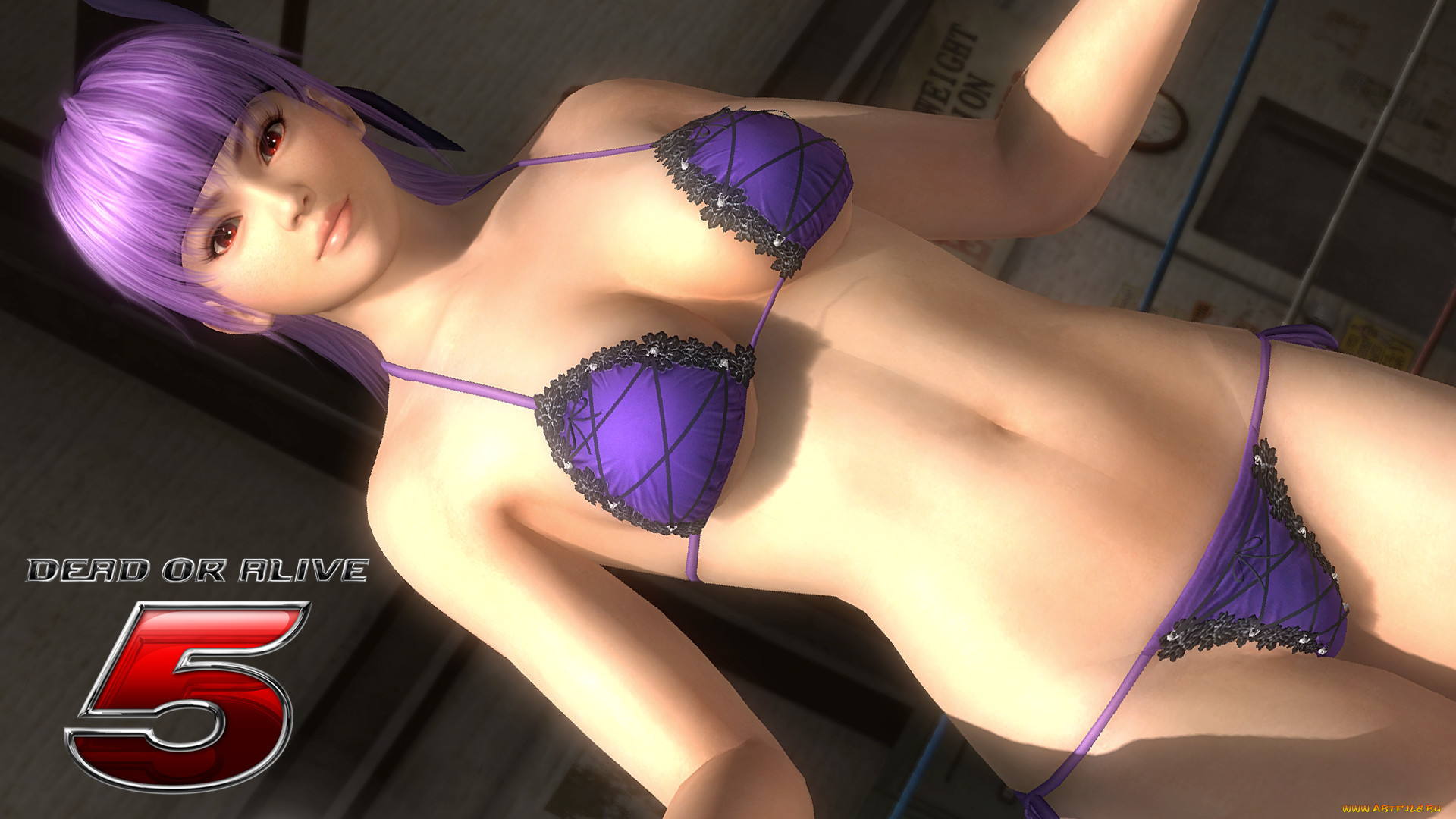 dead or alive 5,  , , , 